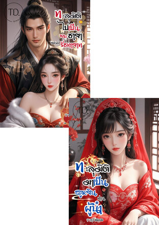 SET ทะลุมิติลิขิตรัก