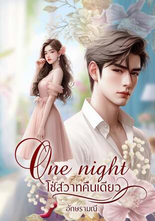 One night โซ่สวาทคืนเดียว