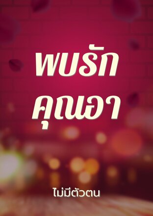 พบรักคุณอา