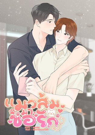 แมวส้มมาขอรัก