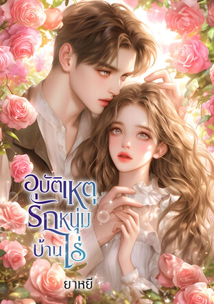 อุบัติเหตุรักหนุ่มบ้านไร่