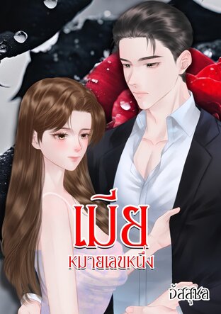 เมียหมายเลขหนึ่ง (เจ็บแค่ไหนก็ยังรัก)