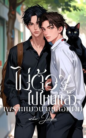 ไม่ต้องไปไหนแล้ว เพราะแมวนายเลือกผม