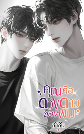 คุณคือดวงดาวของผม