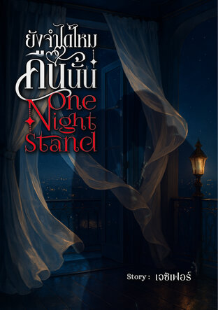 ยังจำได้ไหมคืนนั้น One Night Stand
