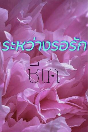 ระหว่างรอรัก