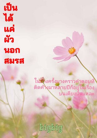 เป็น​ได้แค่​ผัว​นอก​สมรส​
