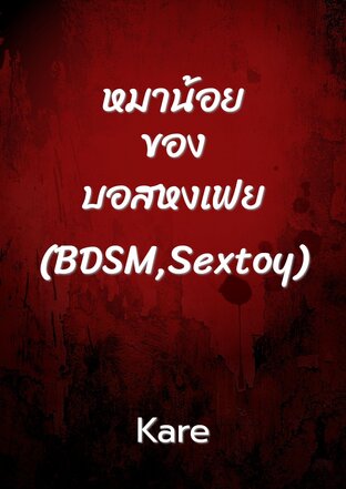 หมาน้อยของบอสหงเฟย(BDSM,Sextoy)