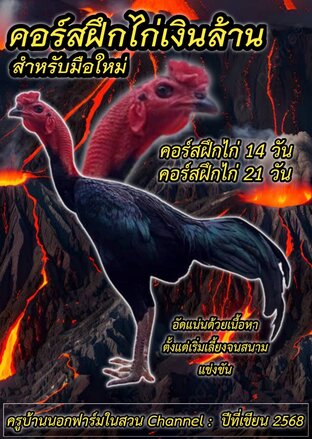 คอร์สฝึกไก่ออกชนเงินล้าน (มือใหม่)