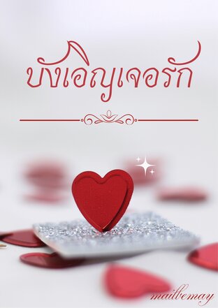 บังเอิญเจอรัก (รักสดใส)
