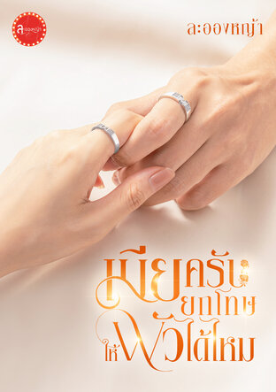 เมียครับยกโทษให้ผัวได้ไหม (ซีรีส์ ผบ)