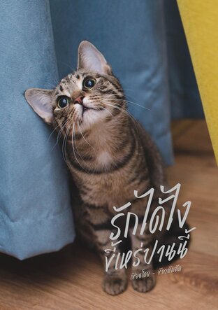 รักได้ไง ขี้เหร่ปานนี้