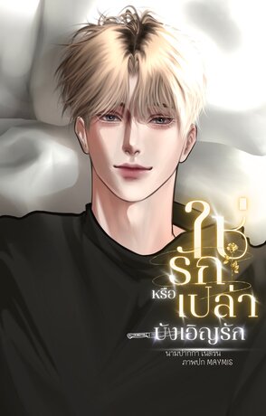 ใช่รักหรือเปล่า(บังเอิญรัก)