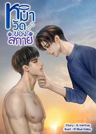 หมาวัดของสกาย