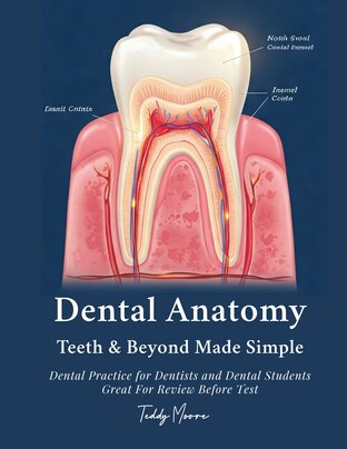 Dental Anatomy Teeth & Beyond Made Simple: Dental Practice for Dentists and Dental Students Great For Review Before Test