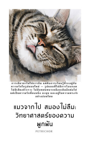 แมวจากไป สมองไม่ลืม: วิทยาศาสตร์ของความผูกพัน