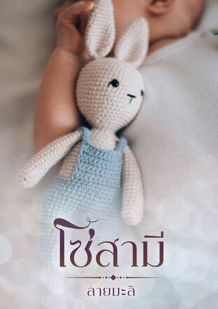 โซ่สามี