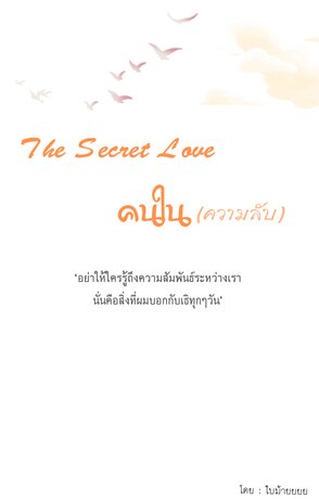 The Secret Love คนในความลับ