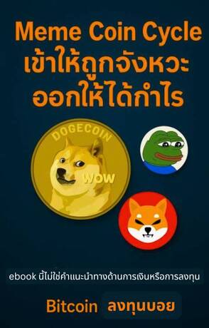วัฏจักร Meme Coin จากศูนย์สู่ดวงจันทร์