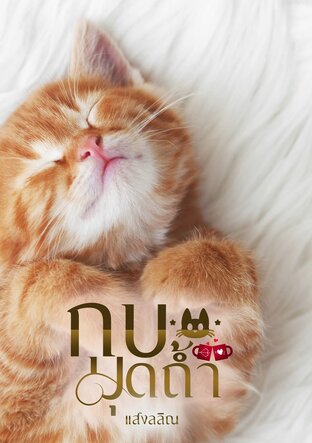 กบมุดถ้ำ