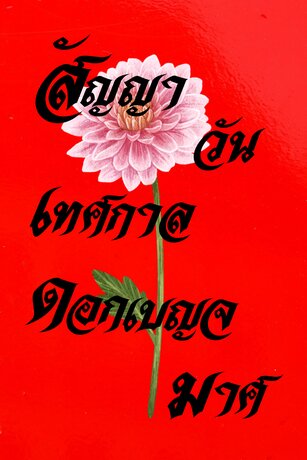 สัญญาวันเทศกาลดอกเบญจมาศ