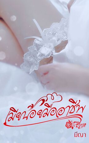 เมียน้อยมืออาชีพ
