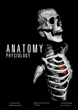 Anatomy Physiology