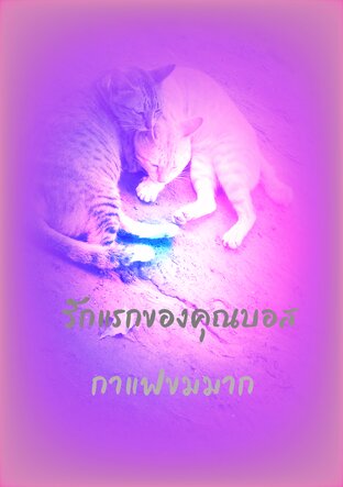 รักแรกของคุณบอส