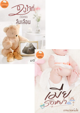 SET หย่า...เมียนอกหัวใจ