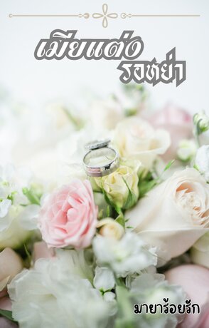 เมียแต่งรอหย่า