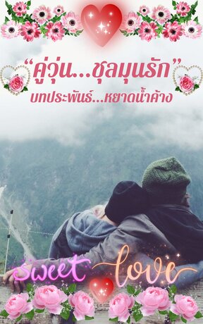 คู่วุ่น...ชุลมุนรัก