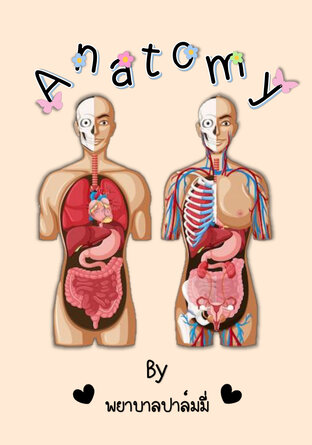 Anatomy