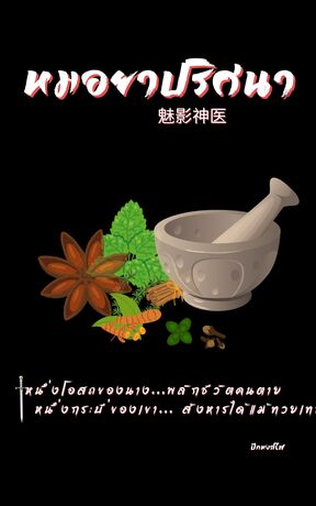 หมอยาปริศนา 魅影神医
