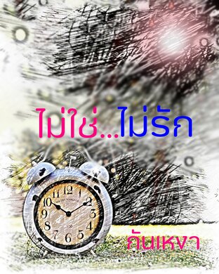 ไม่ใช่...ไม่รัก