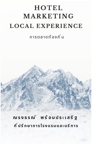 Hotel marketing Experience