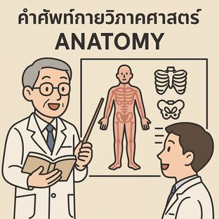 คำศัพท์กายวิภาคศาสตร์ภาษาญี่ปุ่น 930 คำ