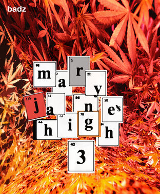 mary jane's high 3