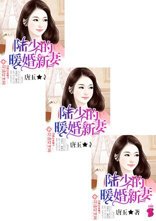 SET เจ้าสาวมือใหม่แห่งสกุลลู่ เล่ม 1-10
