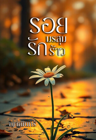 รอยมรสุมรักร้าว