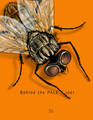 Behind the PALE