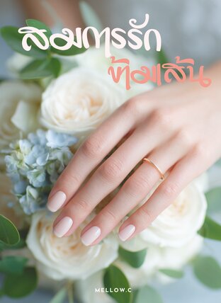 สมการรักข้ามเส้น
