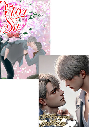SET นิยายวาย