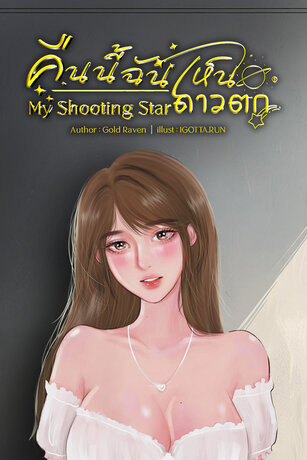 My Shooting Star คืนนี้ฉันเห็นดาวตก