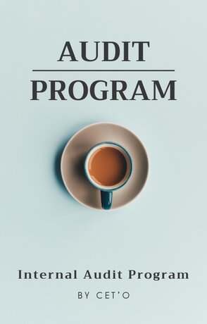 Audit Program