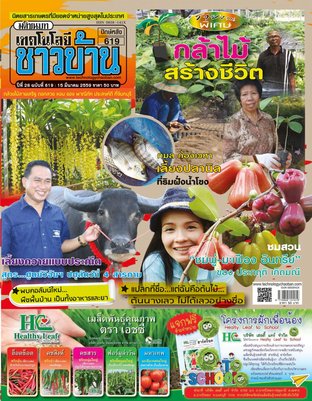 เทคโนโลยีชาวบ้าน ฉบับที่ 619