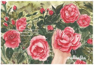 Camellia ( All x Kafka)