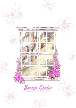 [AU Fic - One Piece] Series How Long - Boronia Garden