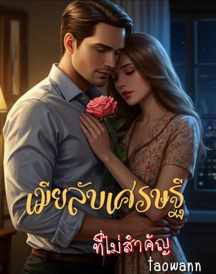 เมียลับเศรษฐี ที่ไม่สำคัญ