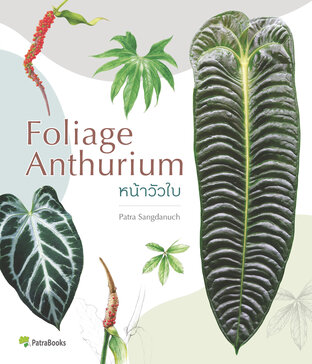 หน้าวัวใบ Foliage Anthurium