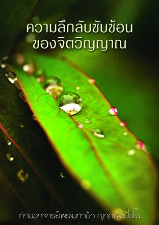 ความลึกลับซับซ้อนของจิตวิญญาณ